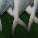 Pomfret fish from https://commons.wikimedia.org/wiki/File:AAAVOLI_FISH.jpg