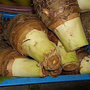 taro root (taro corm) from https://commons.wikimedia.org/wiki/File:Taro_root_(taro_corm).jpg